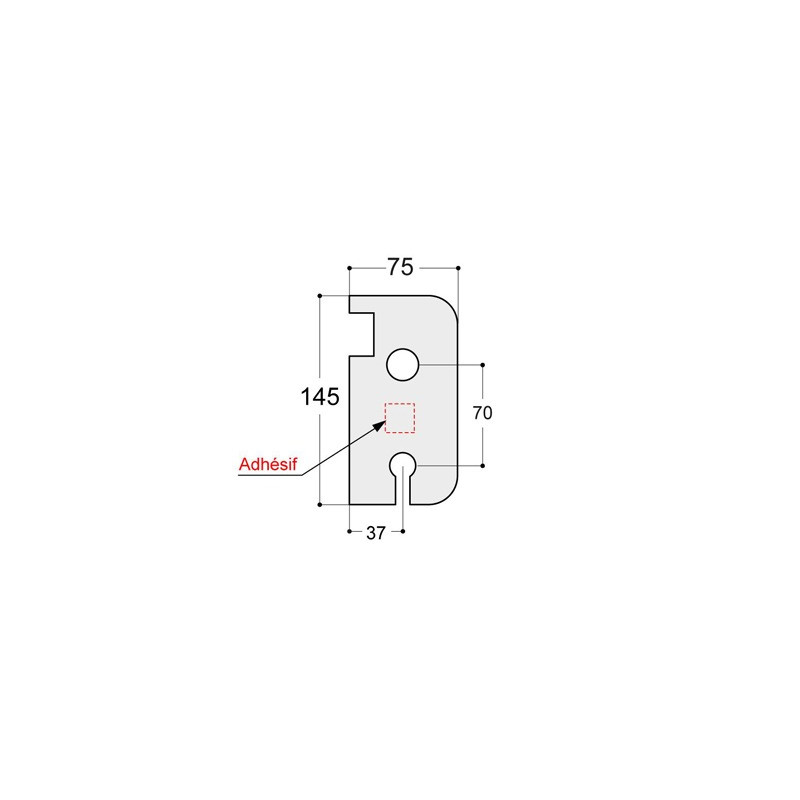 Protection de serrure type 2 CF Protection de serrure type 2 CF