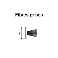 Joint-brosse fibres grises 7 Joint-brosse fibres grises 7